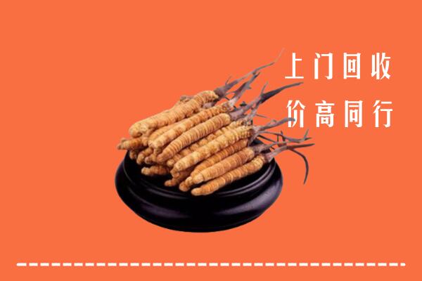 高价求购：庆阳市回收散虫草
