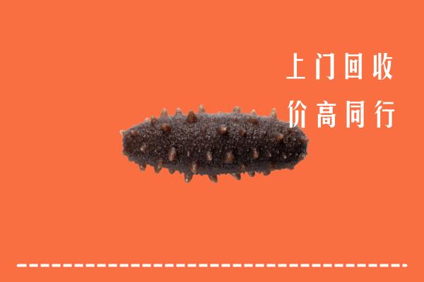 高价求购：庆阳市回收海参