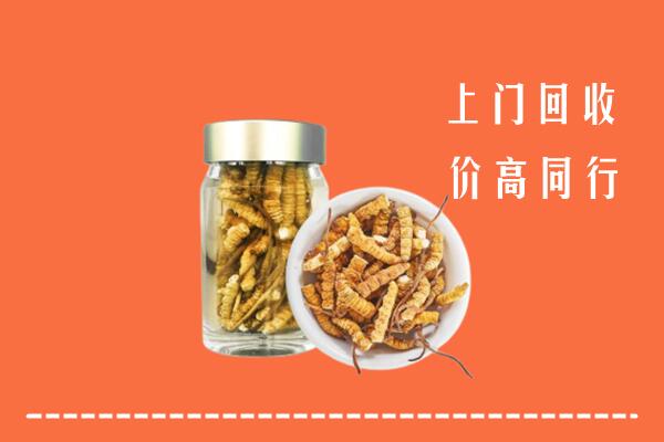 庆阳市回收冬虫夏草