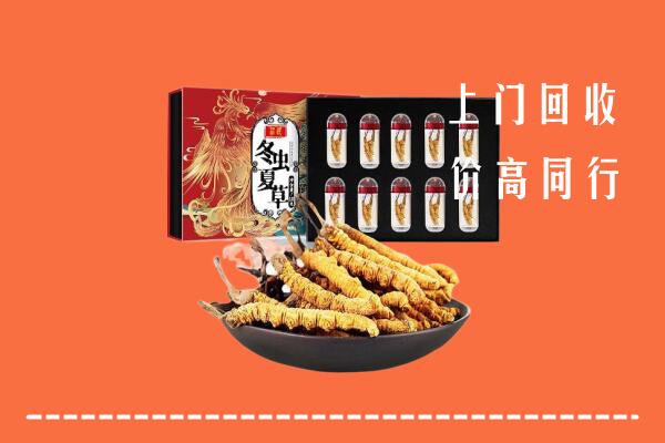 庆阳市回收虫草